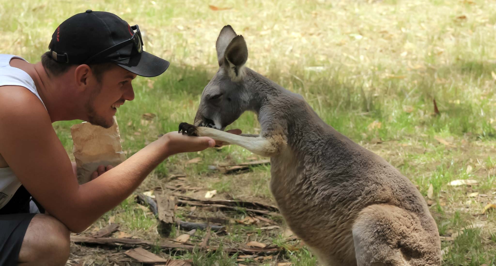 A kangaroo with Dan