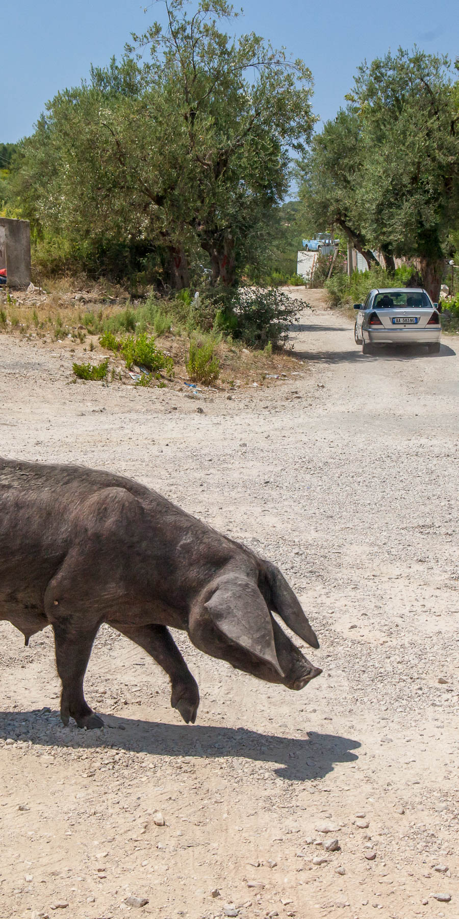 Albania Photos