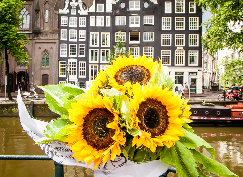 Flower Markets Amsterdam