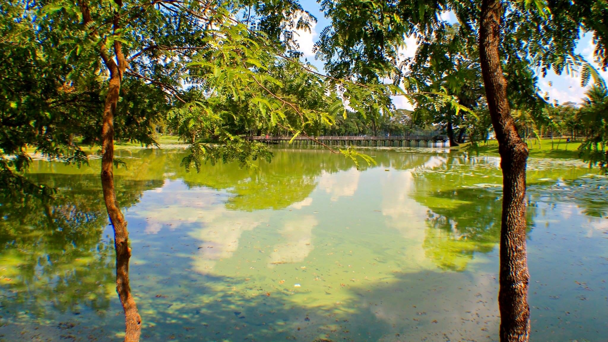 Myanmar Yangoon Park