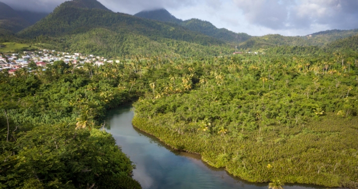 The Indian River as seen from above with the mountains of Dominica in the background