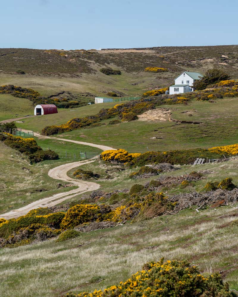 A picturesque farm at Roy Cover, West Falkland