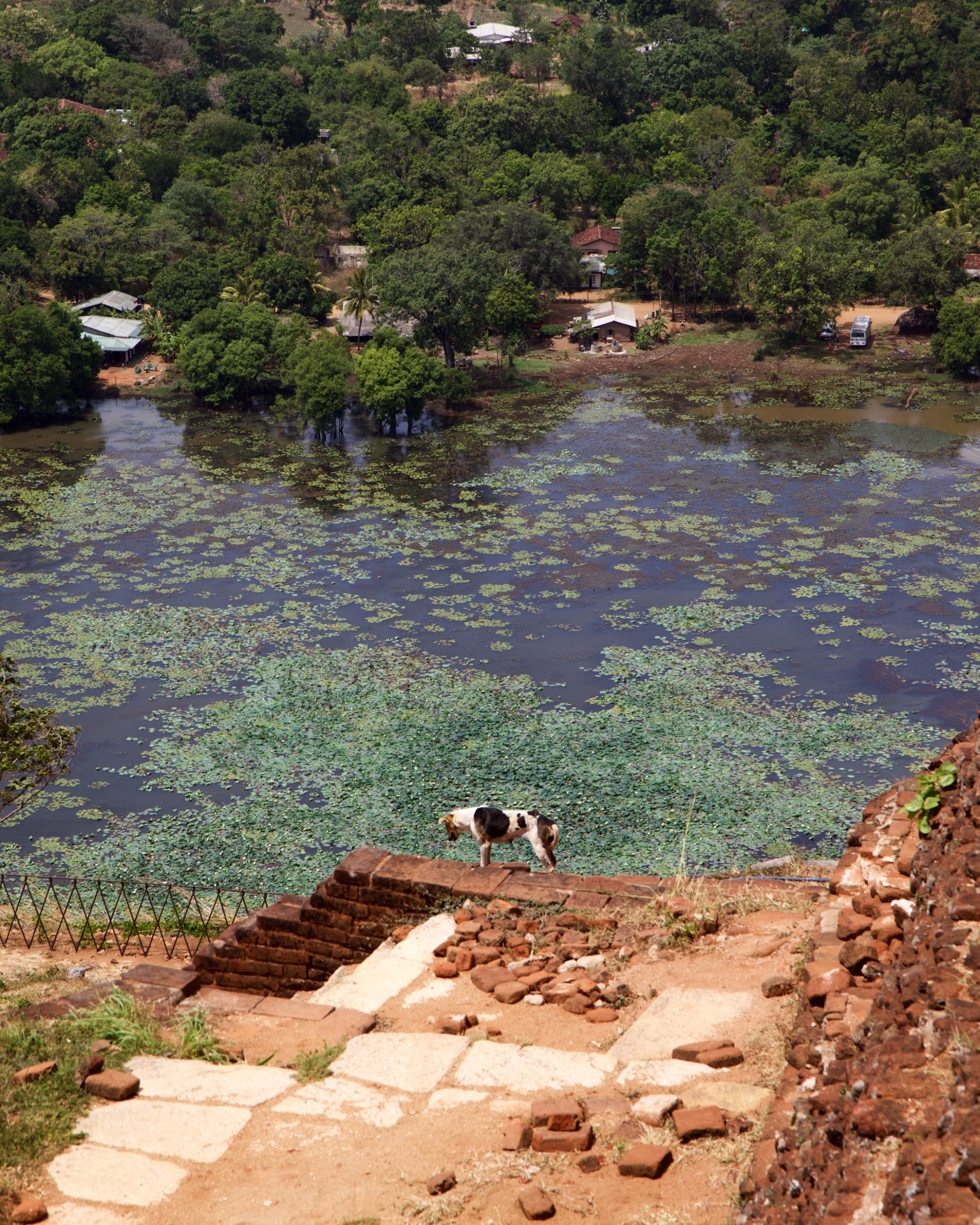 sigiriya rock