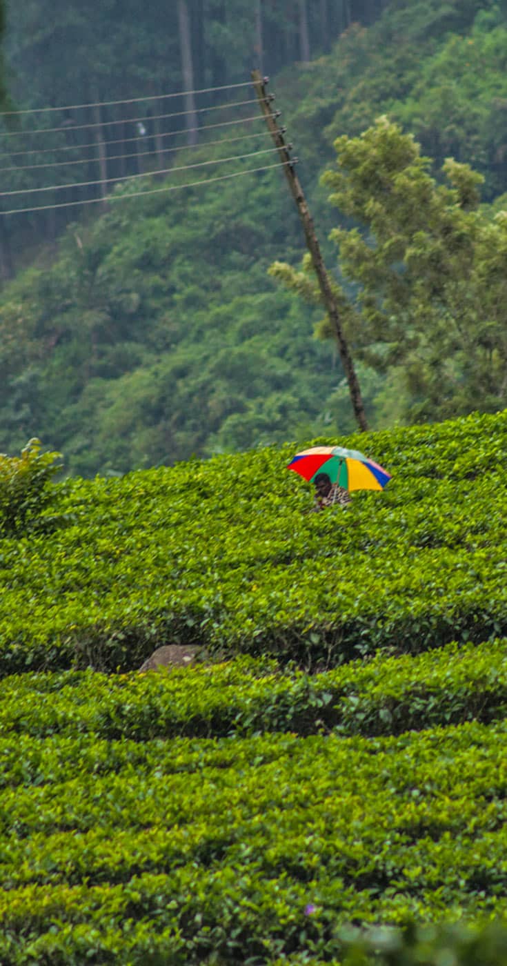 Kandy to Ella Train Journey