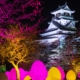 Kochi Castle TeamLab Digital Art