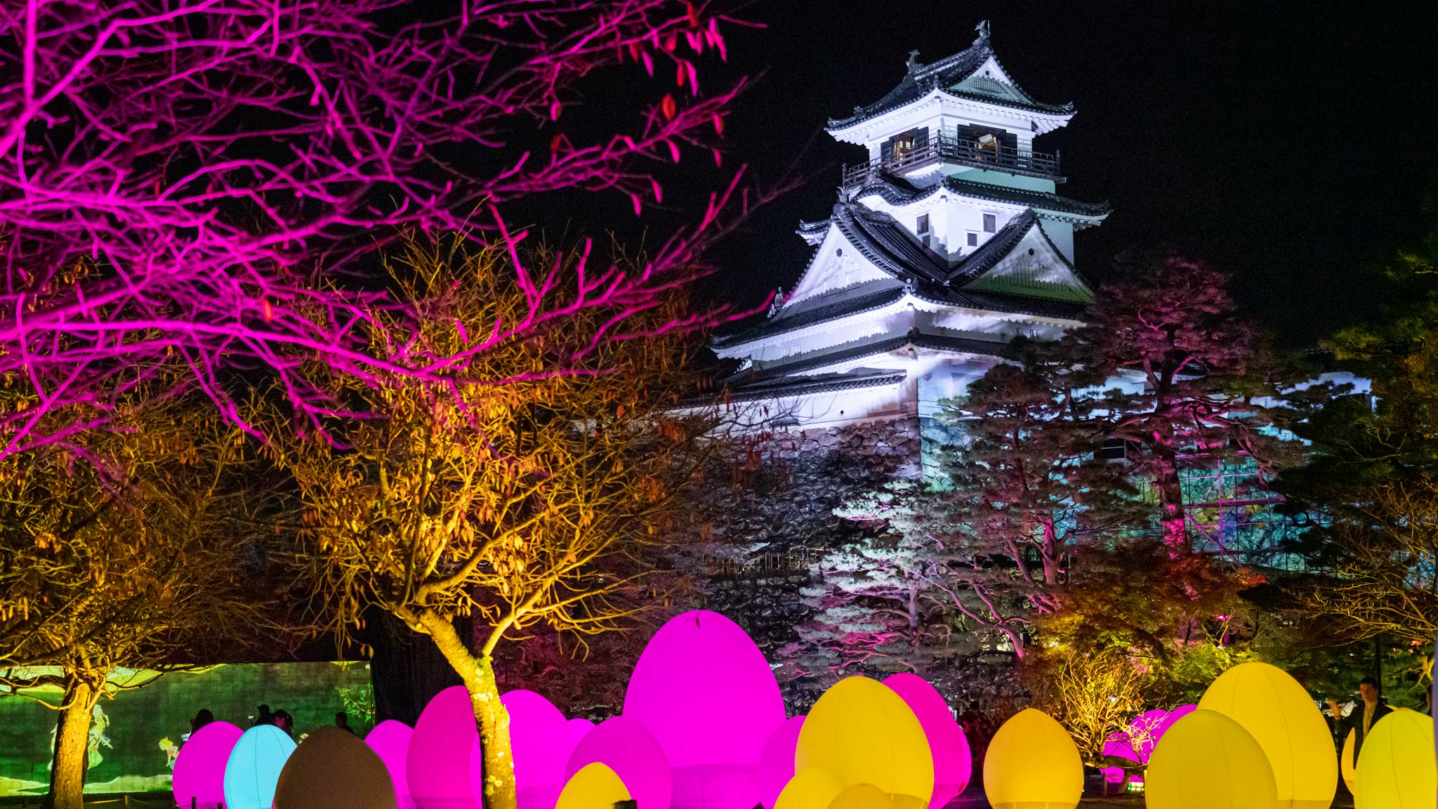 Kochi Castle TeamLab Digital Art
