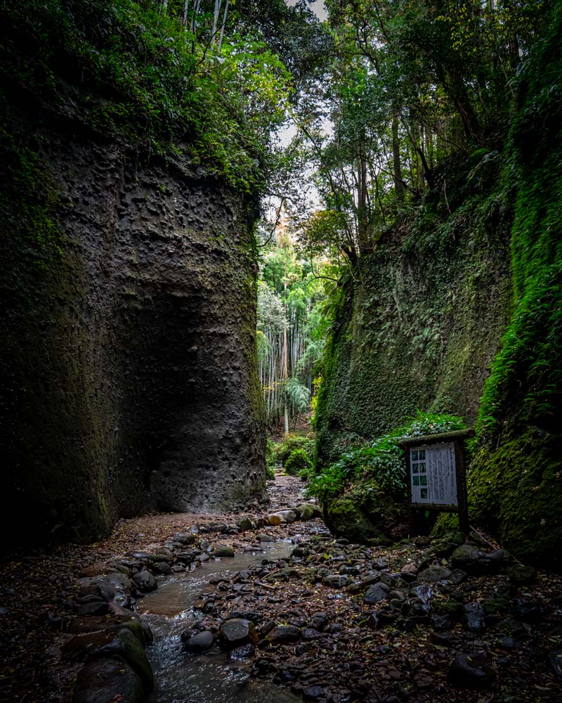 The green entrance of moss on rocks to the Ioki cave