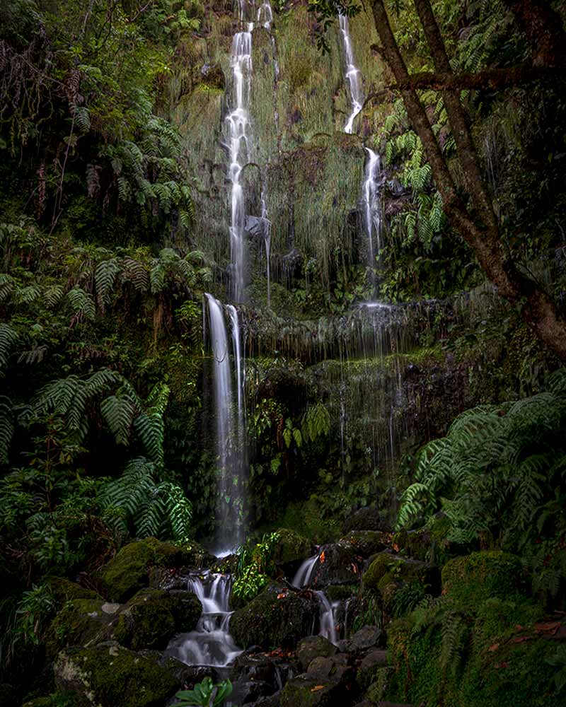 A long exposure of one of the many Maderia waterfalls cascading down a cliff coated in ferns