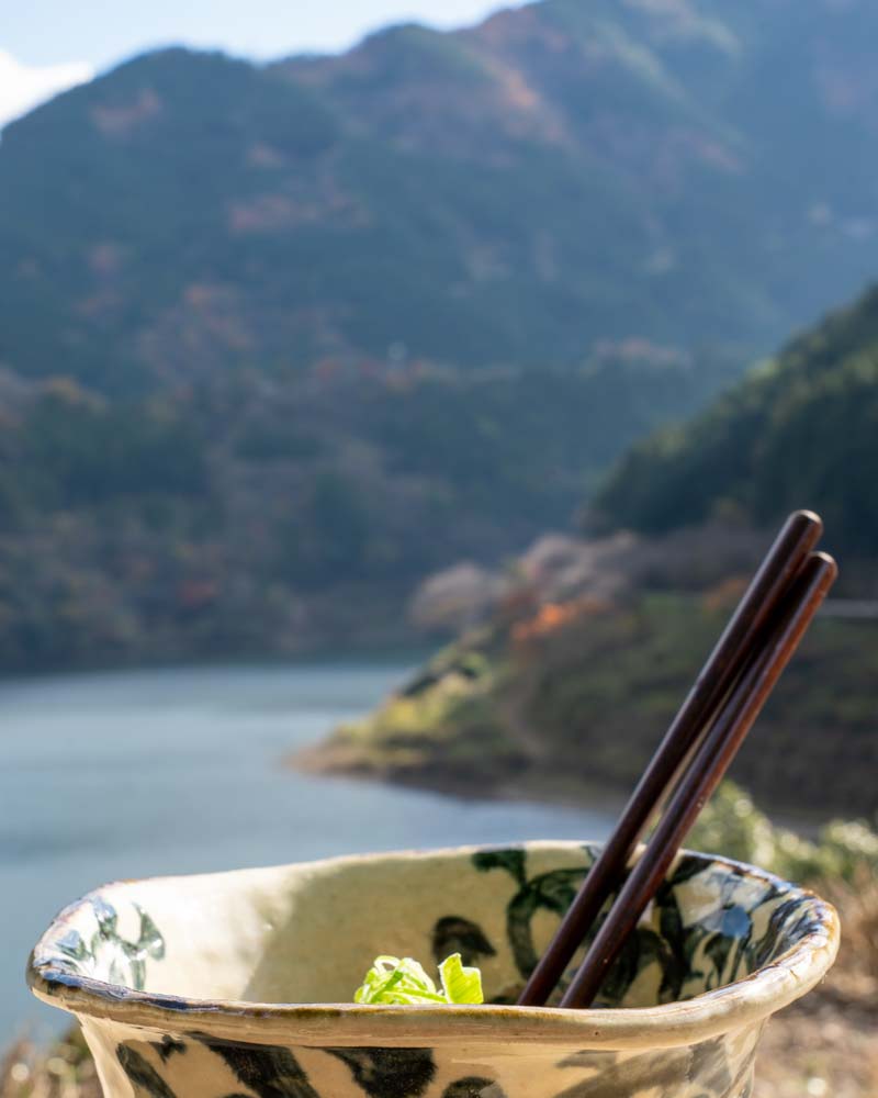 In the foreground is a bowl of Matcha green noodles, blurred in the background and Kochi's forested mountains