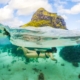 Snorkelling in Mauritius