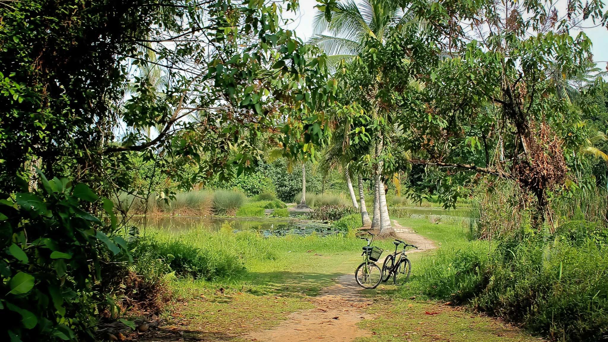 Cycling around the island of Pulua Ubin