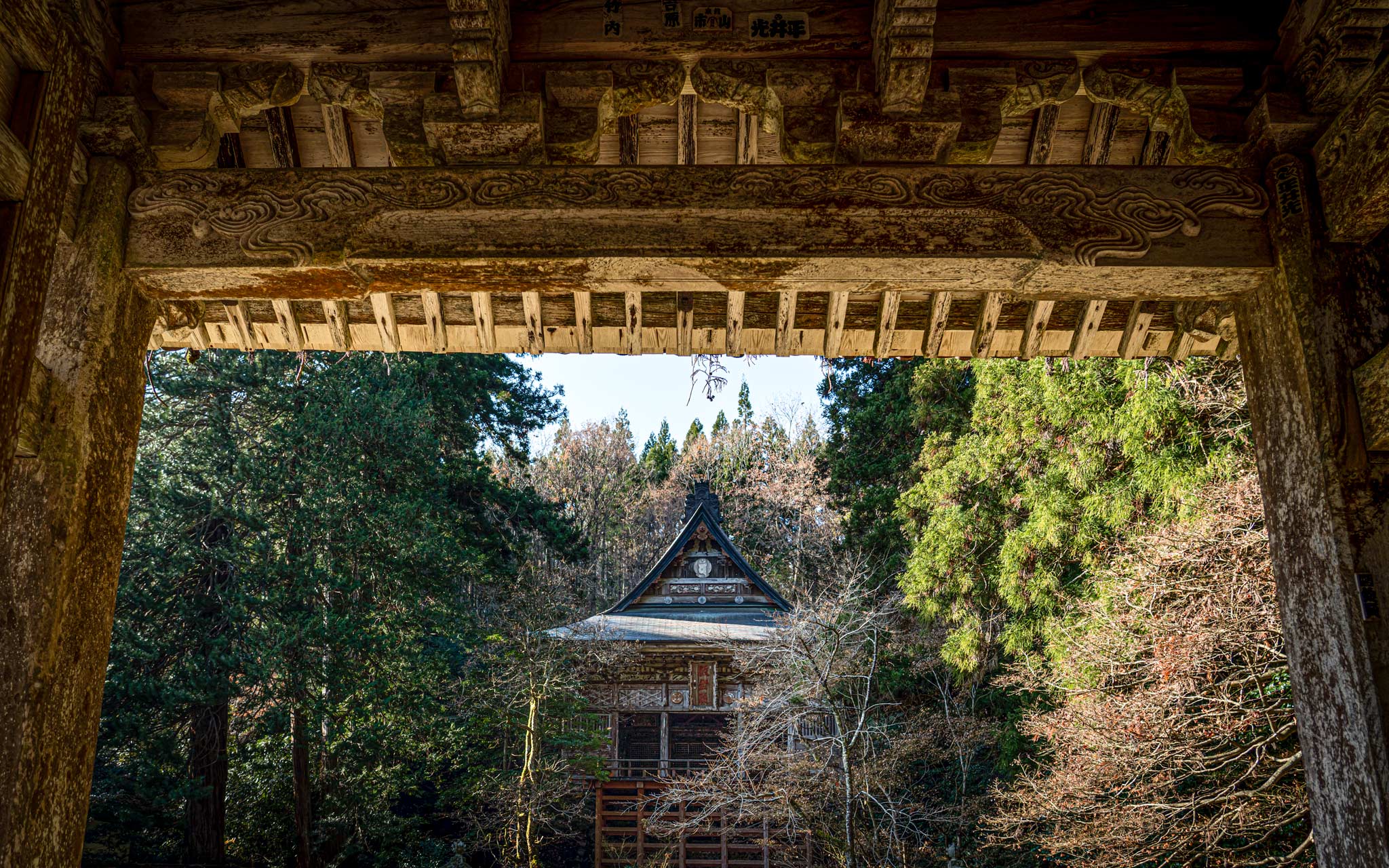 The remains of a theatre fading into nature