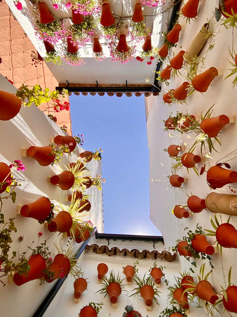 A hidden gem in Spain, colourful plant pots at the Cordoba Festival of the Patios
