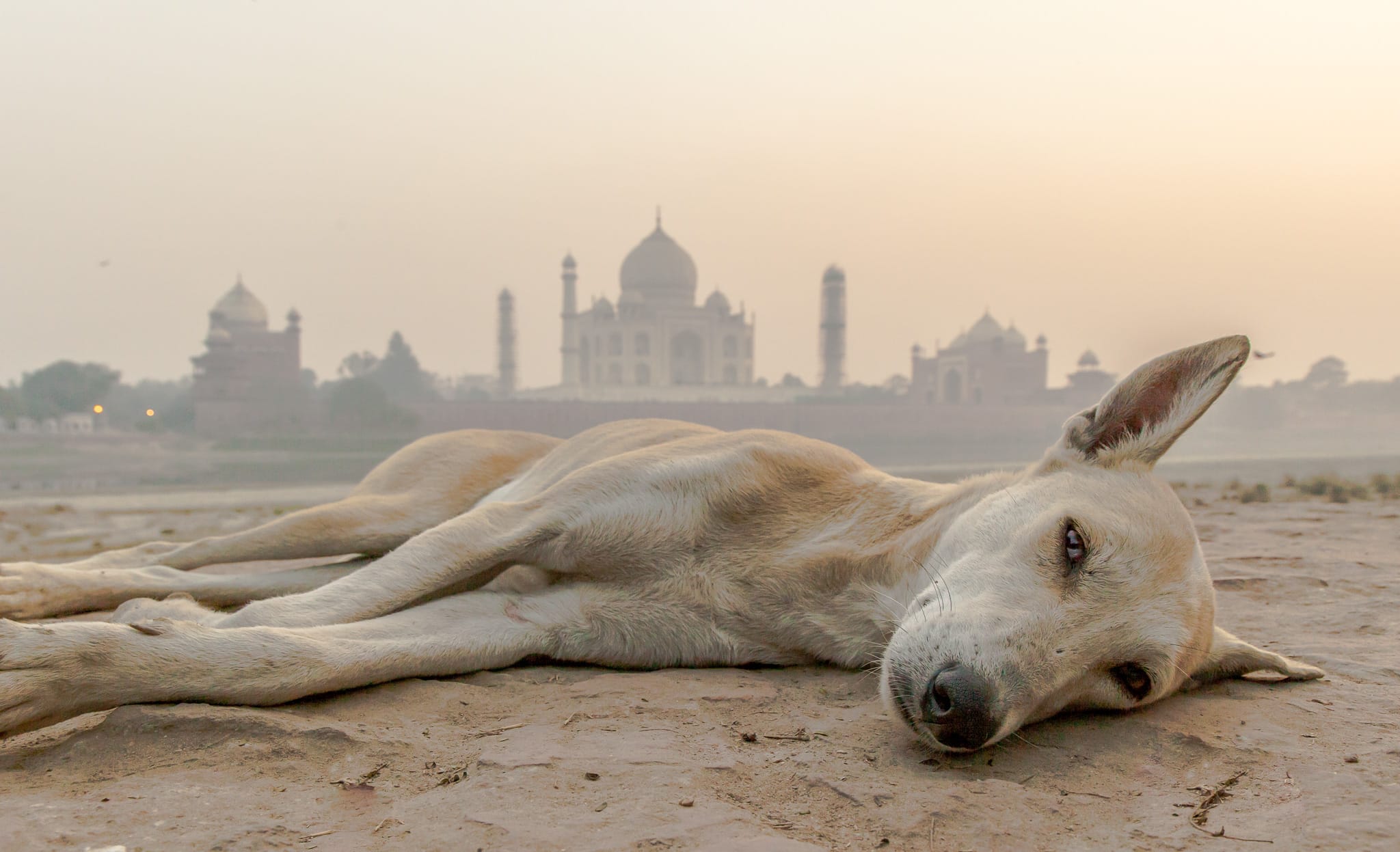 Taj Mahal