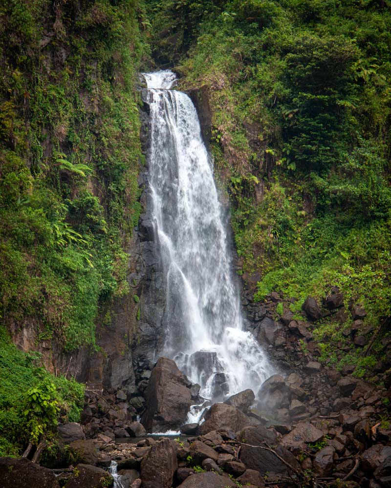 Traflagar Falls Waterfall in Dominica