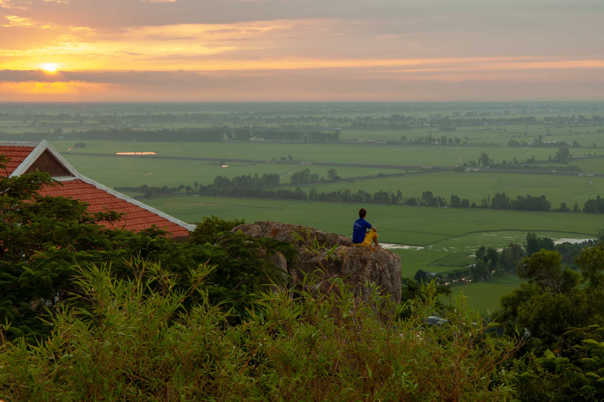 Green rice fields of Chau Doc as seen while perched on a rock