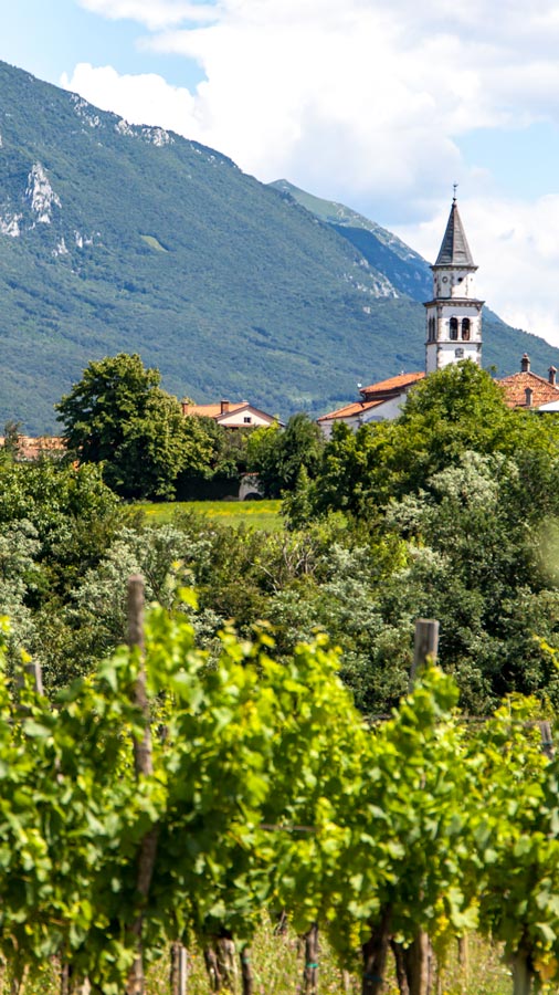 Vipava Valley Slovenia