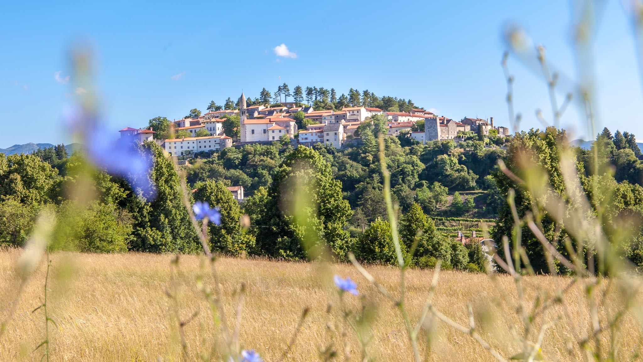 Vipava valley Slovenia