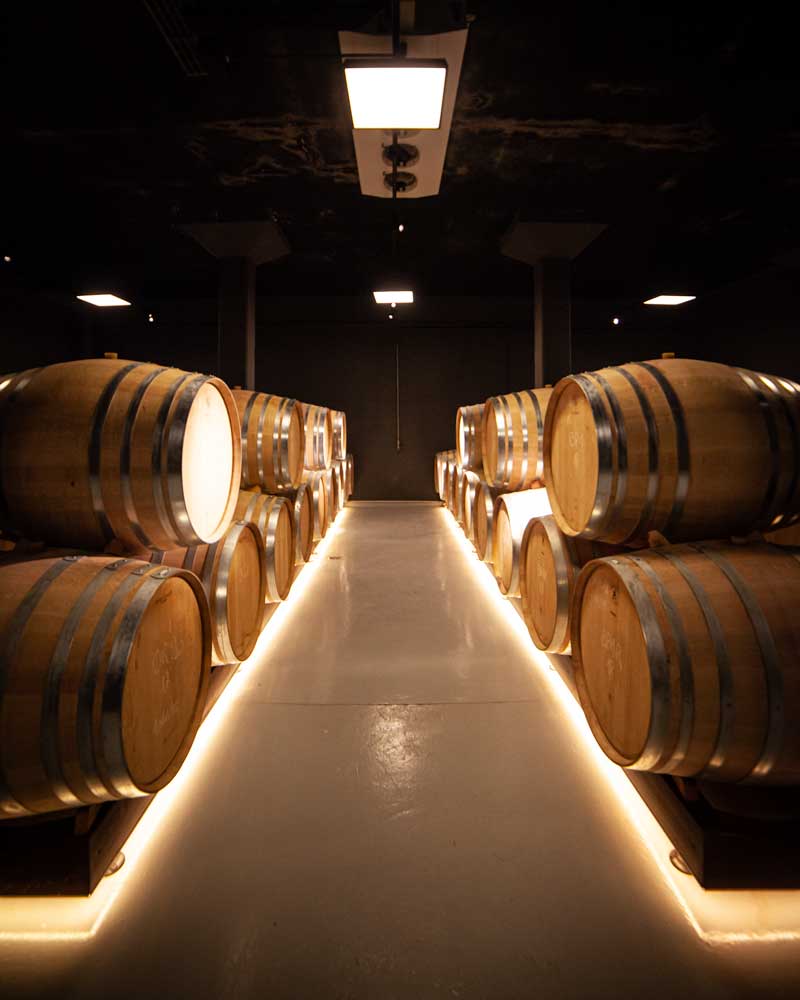 Murcia Winery Bullas